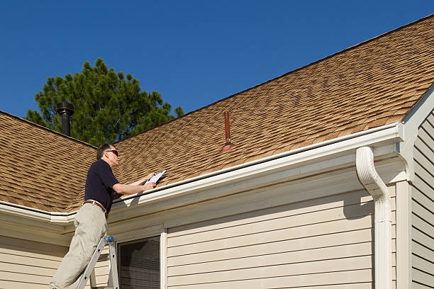 Best Roof Moss and Algae Removal  in Harbor Beach, MI